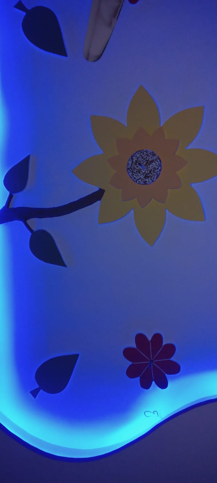 Ceiling Project 2